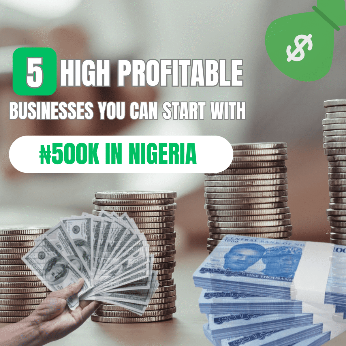 Money in Naira and dollars illustrating top business opportunities with ₦500k investment in Nigeria